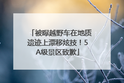 被曝越野车在地质遗迹上漂移炫技！5A级景区致歉